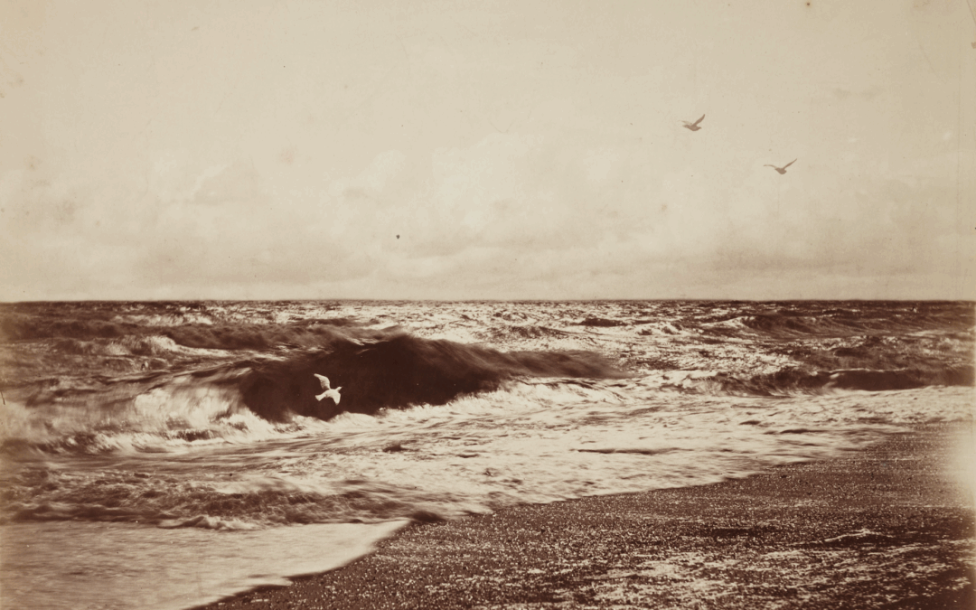 La photographie au XIXe siècle